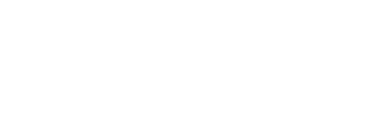 netsuit